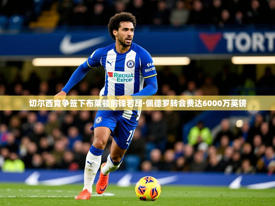 切尔西竞争签下布莱顿前锋若昂·佩德罗转会费达6000万英镑 切尔西竞争签下布莱顿前锋若昂·佩德罗转会费达6000万英镑