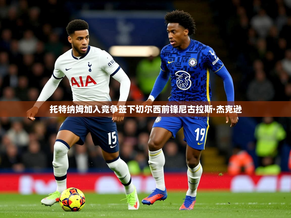 托特纳姆加入竞争签下切尔西前锋尼古拉斯·杰克逊