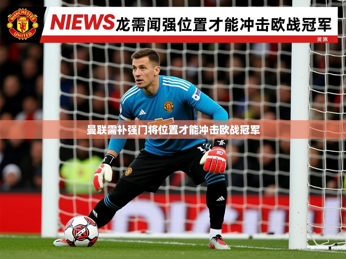 曼联需补强门将位置才能冲击欧战冠军