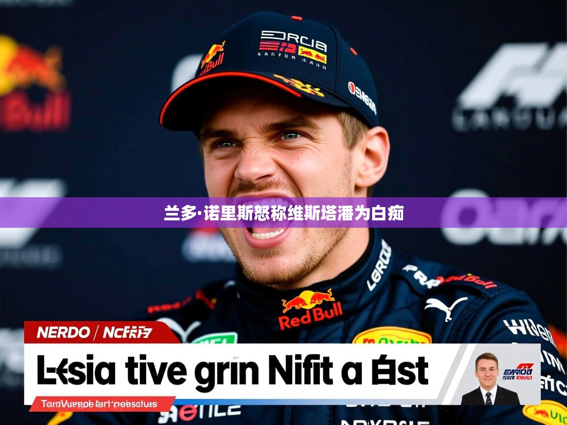 兰多·诺里斯怒称维斯塔潘为白痴