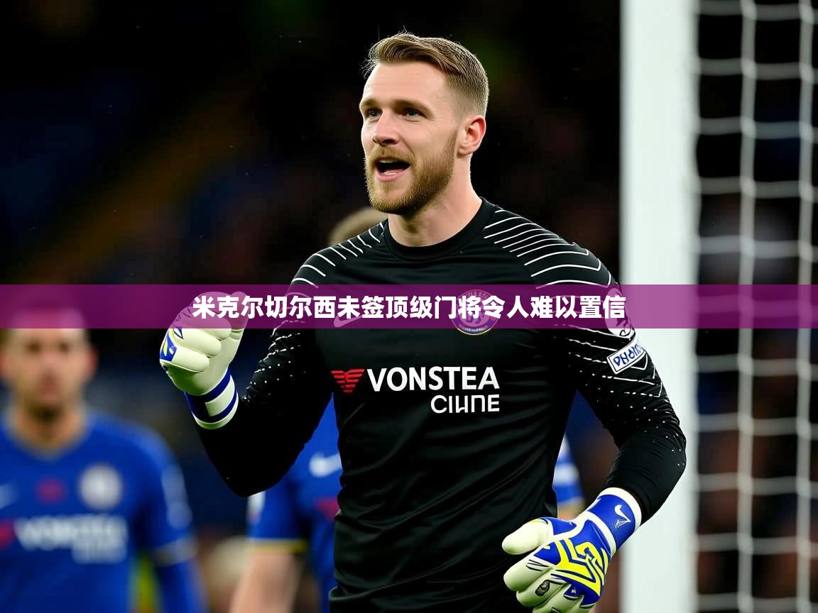 米克尔切尔西未签顶级门将令人难以置信